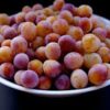 Assiette de mirabelles de l'Ubaye